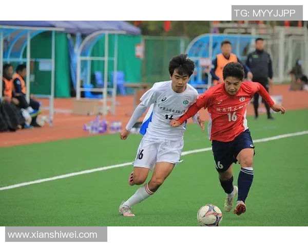 麓山国际足球明星盛典即将开启全球顶级球员齐聚共襄盛举